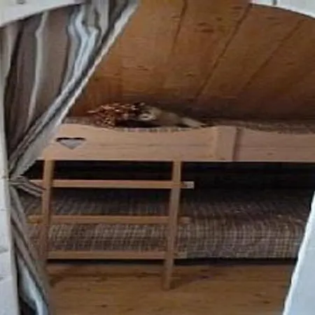 Chalet Chemin De La Louviere