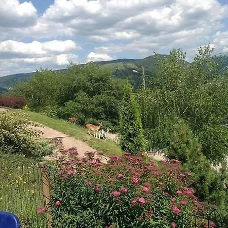 Chalet Chemin De La Louviere *